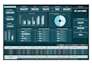 excel data entry, pivot table and charts